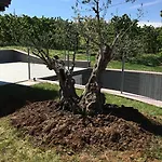 La Corte D'emilio Βινιόλα