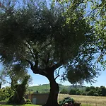 La Corte D'emilio
