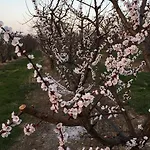 Bed and Breakfast La Corte D'emilio Βινιόλα