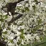 Bed and Breakfast La Corte D'emilio Βινιόλα