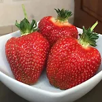 Bed & Breakfast La Corte D'emilio Vignola (Emilia-Romagna)