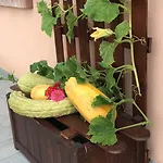 La Corte D'emilio Bed and Breakfast