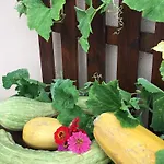 Bed and Breakfast La Corte D'emilio