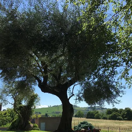 La Corte D'emilio