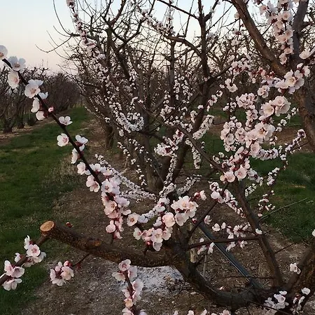 Bed & Breakfast La Corte D'emilio Vignola (Emilia-Romagna)