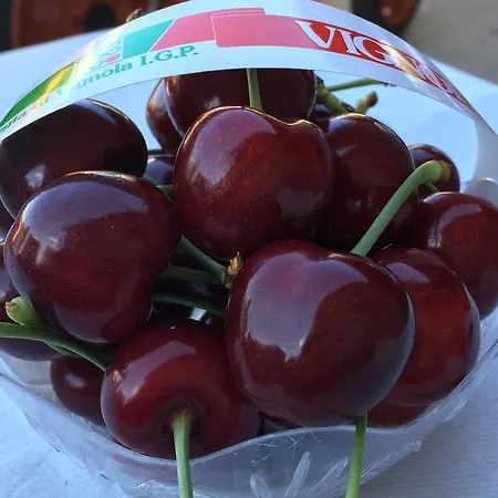 La Corte D'emilio فندق مبيت وإفطار 3*