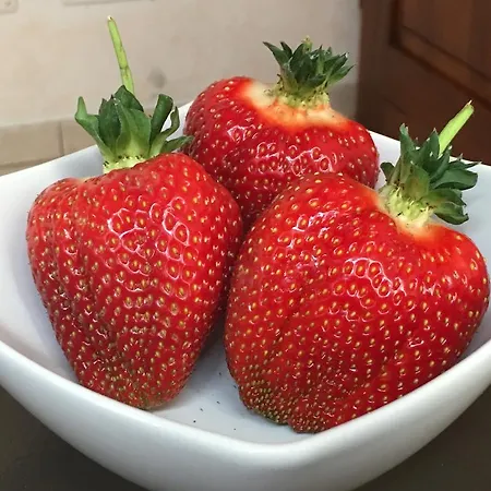 Bed and Breakfast La Corte D'emilio Βινιόλα