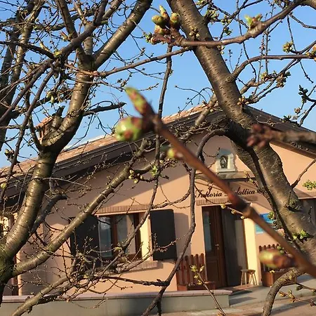 La Corte D'emilio Panzió