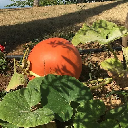 La Corte D'emilio فندق مبيت وإفطار 3*