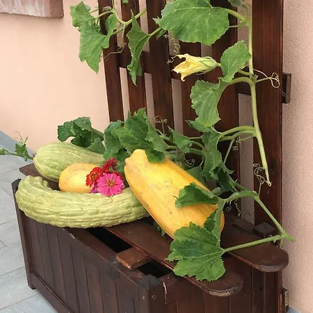 La Corte D'emilio Bed & Breakfast