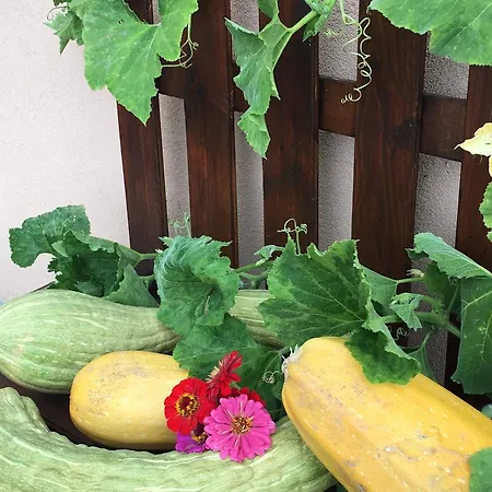 فندق مبيت وإفطار La Corte D'emilio