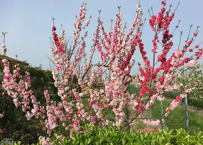 La Corte D'emilio Bed & Breakfast