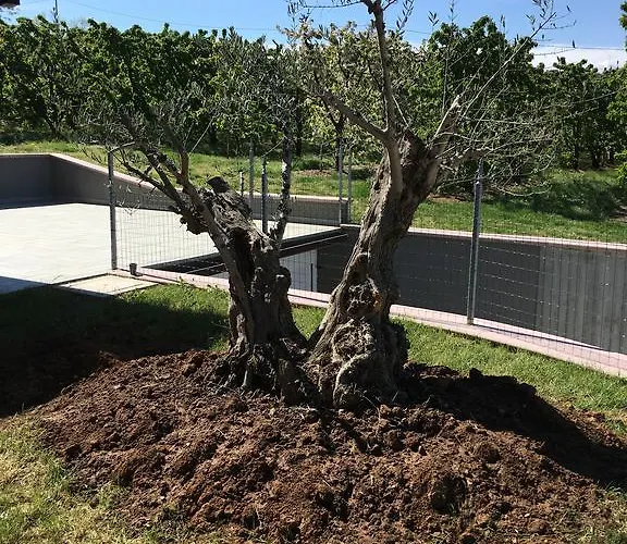 La Corte D'emilio فينيولا