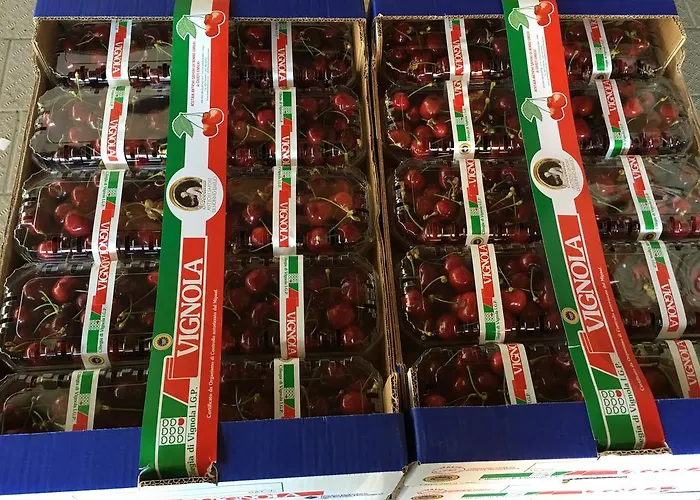 La Corte D'emilio Vignola (Emilia-Romagna)