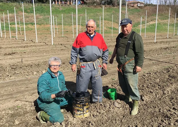 فندق مبيت وإفطار La Corte D'emilio فينيولا