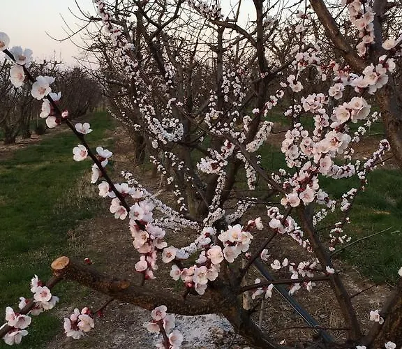 Bed & Breakfast La Corte D'emilio Vignola (Emilia-Romagna)