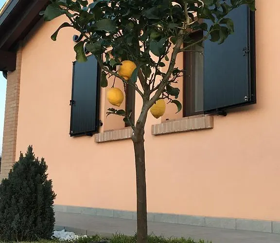 La Corte D'emilio Vignola (Emilia-Romagna)