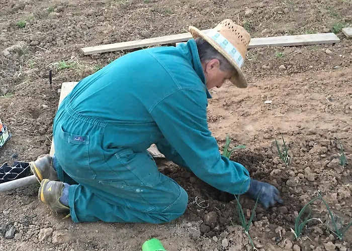 La Corte D'emilio Bed & Breakfast Vignola (Emilia-Romagna)