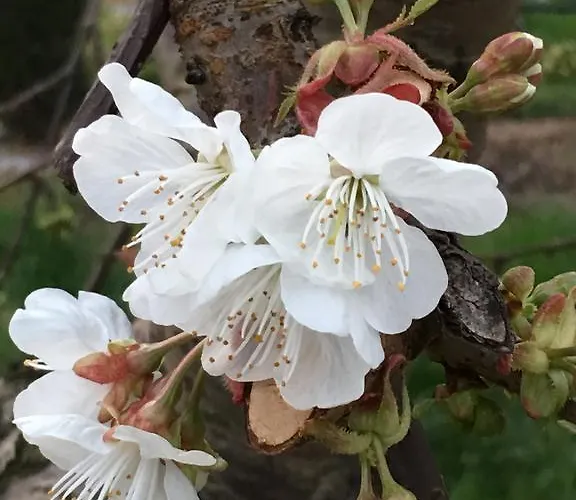 La Corte D'emilio Bed & Breakfast