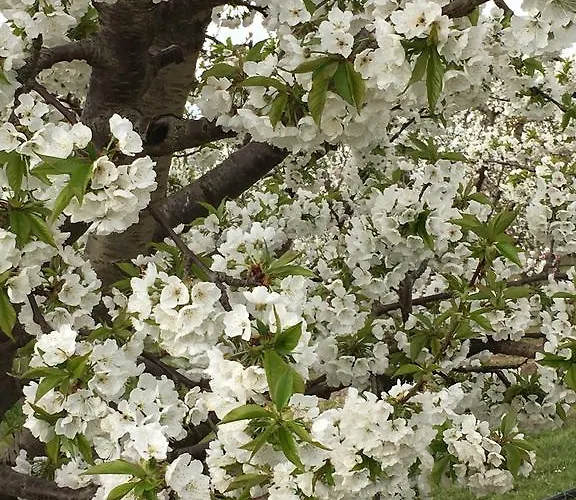 Bed & Breakfast La Corte D'emilio Vignola (Emilia-Romagna)