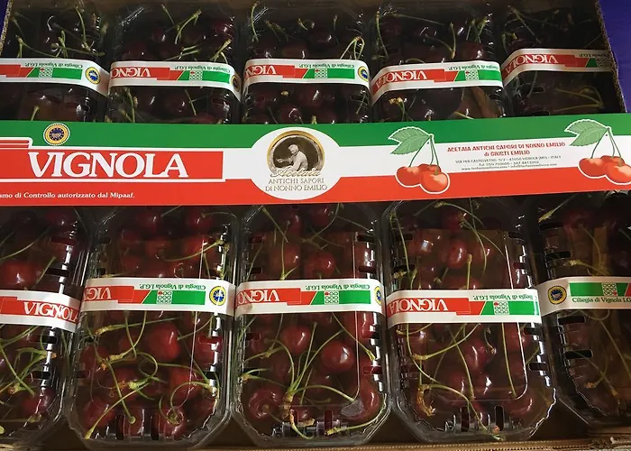 فندق مبيت وإفطار La Corte D'emilio