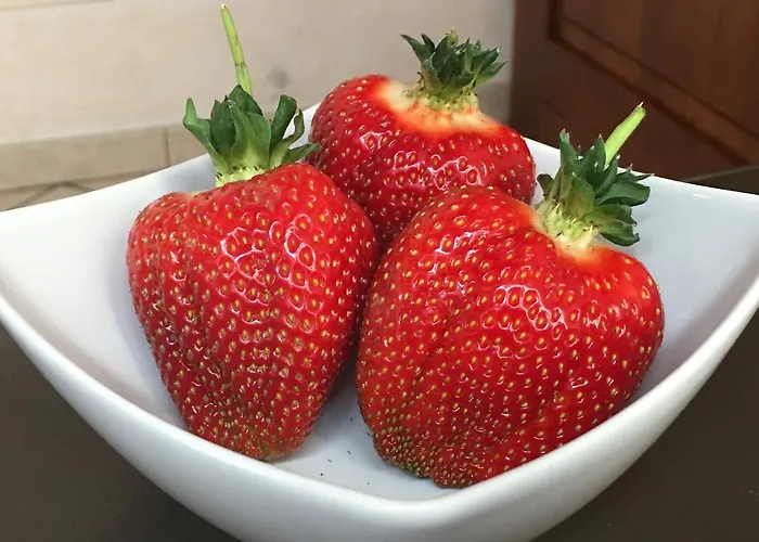 Bed & Breakfast La Corte D'emilio Vignola (Emilia-Romagna)