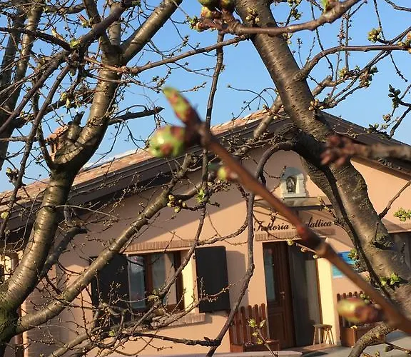 La Corte D'emilio Bed & Breakfast