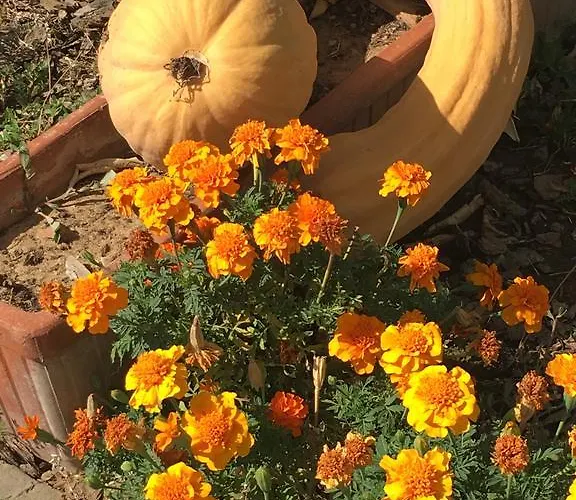 La Corte D'emilio 3* Vignola (Emilia-Romagna)