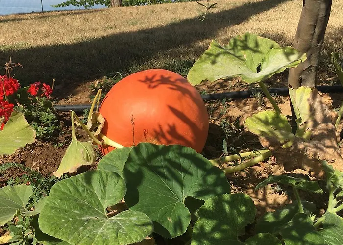 La Corte D'emilio فندق مبيت وإفطار 3*