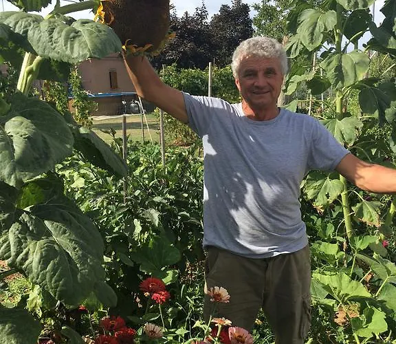 La Corte D'emilio Couette-café