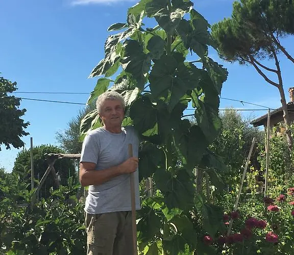 La Corte D'emilio Couette-café