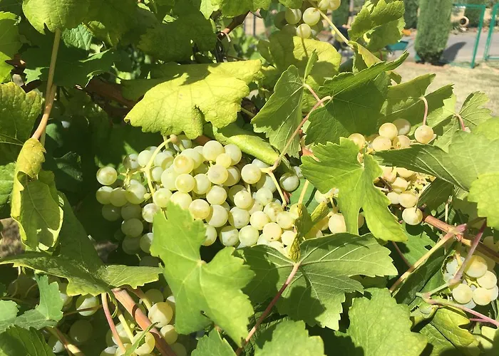 La Corte D'emilio 3*