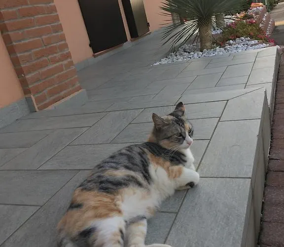 La Corte D'emilio 3*