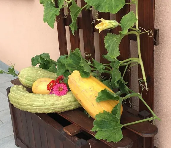 La Corte D'emilio Bed & Breakfast