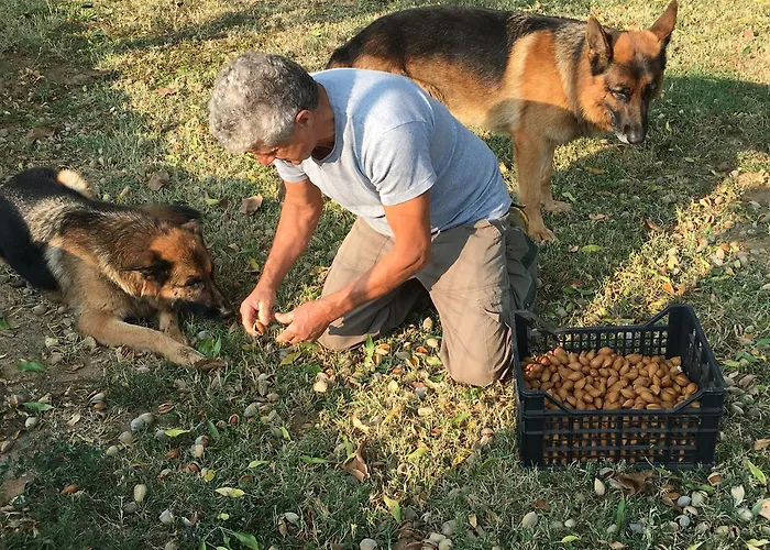 La Corte D'emilio Bed & Breakfast 3*