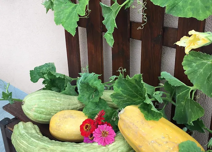 Bed & Breakfast La Corte D'emilio