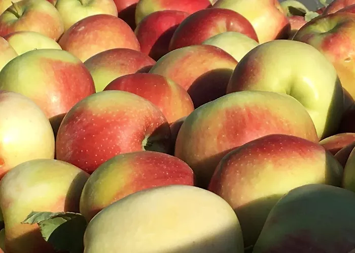 Bed & Breakfast La Corte D'emilio