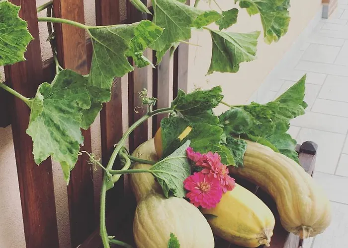 La Corte D'emilio Vignola (Emilia-Romagna)